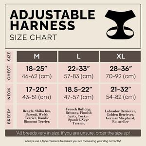 Correa de Nailon Resistente de 2 Piezas para Perros, Color Rosa, para <span class=keywords><strong>Beagle</strong></span>, Shiba Inu, Bulldog Francés, <span class=keywords><strong>Labrador</strong></span> Retriever - Product Image 6