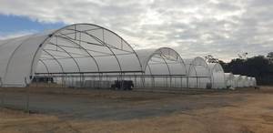 Lớn Nông Nghiệp Nhà kính cho Dâu Tây nho Raspberry cây bền PE nhựa nhà kính - Product Image 5