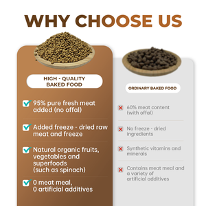 2025 מזון חדש לחתולים טרי בשר טרי חלבון חלבון נטול תבואה נטול תבואה מזון כלבים - Product Image 5