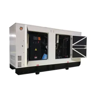 CE ISO Silent 115KW/160KW/200KW/260KW/300KW Gas Alam Oleh Generator Daya DOOSAN GE08TI