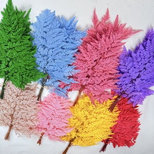 Décoration de table, feuilles de fougère séchées et préservées, arrangement de feuilles artificielles, 30-40 cm, utilisation intérieure/extérieure pour mariage - Product Image 3