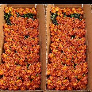 Arancione bruciato a 7 teste di seta rose di natale di nozze laurea decorazione artificiale fiore per festiva di capodanno decorazioni di Halloween - Product Image 1