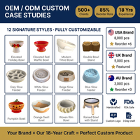 Bol en céramique personnalisé en forme de fraise, design mignon de fruits, pour chiens et chats, gamelle d'alimentation et d'eau, distributeurs personnalisés en gros OEM
