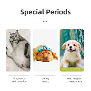 2025 nouveau coussin chauffant électrique intelligent pour animaux de compagnie avec minuterie température réglable étanche intérieur extérieur utilisation pour chien chat lit voyage - Product Image 3