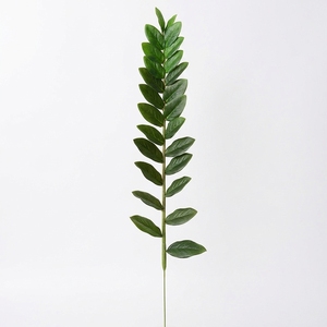 H-897 <span class=keywords><strong>Arbre</strong></span> à monnaie artificiel en <span class=keywords><strong>eucalyptus</strong></span> à <span class=keywords><strong>prix</strong></span> de gros, avec tige à feuille unique Zamiifolia, pour décorations de maison et de mariage - Product Image 3