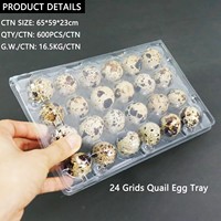 Vente en gros de boîtes d'œufs de caille 24 emballages d'œufs de caille Plateau en plastique PET pour œufs de caille d'oiseau