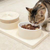 Distributeur d'eau et de nourriture pour animaux de compagnie 2-en-1 en céramique et PP écologique avec commande manuelle pour chats, utilisation extérieure