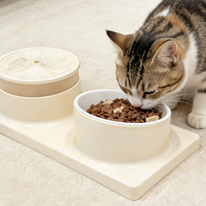 Pet 2-in-1 Water Fountain Automatic Ceramic Pet <b>Feeder</b> Eco-Friendly Plastic Water & Food Dispenser for Dog <b>Cat</b> - Product Image 4