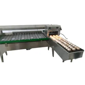 high efficient automatic-weight egg classifier egg grades sorting machine egg selecting machine by weight