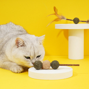 Luxury Pet Toys Various Cute Styles Interactive Chew Stick Toy for <strong>Cats</strong> Teething Stick With <strong>Catnip</strong> Cute <strong>Funny</strong> Interactive Toy - Product Image 4