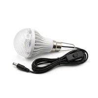Ampoule LED DC12V pour usage extérieur avec câble de 2,8 m, prise DC5521, interrupteur marche/arrêt, crochet métallique pour un accrochage facile, CRI 80, 6500K