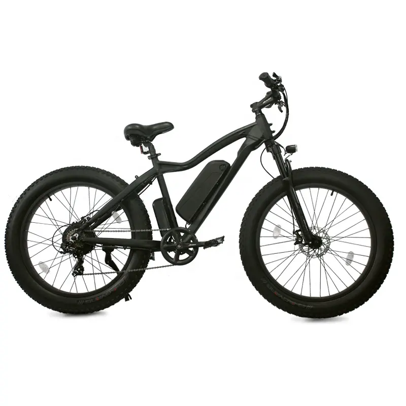 2022 Latest Popular Most Comfortable Fat Tire Cycle Dirt Step Through City Adult 1000w Cargo 26inch Mountain E-Bike