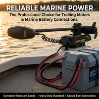 Câble de batterie en cuivre étamé 99,9 % de 10 mm, fil en silicone anti-corrosion pour connexion de systèmes marins et onduleurs solaires