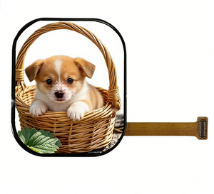 โมดูลหน้าจอสัมผัส AMOLED ความละเอียดสูงขนาด 2.05 นิ้วสำหรับอุตสาหกรรม IoT - Product Image 4