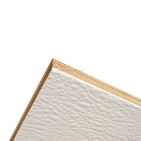 Plaques de contreplaqué stratifié en polyester renforcé de fibre de verre (FRP) résistantes à la corrosion pour panneaux muraux de camping-cars et de navires de croisière