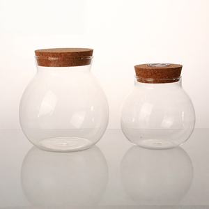 Pot en verre transparent exquis liège Micro paysage bouteille écologique Terrarium conteneur Aquarium veilleuse réservoir de poissons décor verre - Product Image 2