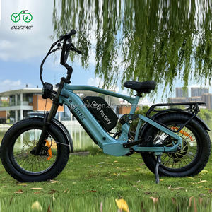 Fournisseur Fabricant de Vélos Électriques Fat Bike et VTT Électriques 72V 1000 2000 3000 pour Hommes et Femmes - Product Image 2