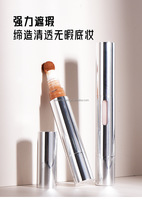 Stylo correcteur à couverture complète de maquillage de marque privée avec éponge tube de bâton de fond de teint liquide résistant à l'eau avec brosse