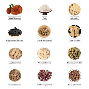 田七人参根エキス粉末 健康食品グレード OEM/ODM メーカー供給 現物商品 - Product Image 6