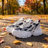 Chaussures pour hommes, baskets à plateforme augmentant la taille, légères, respirantes, antidérapantes, directement de l'usine