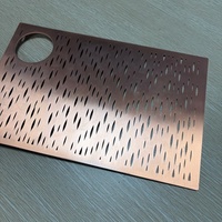 Pièces découpées au laser 2D personnalisées LC-1, pièces métalliques découpées au laser de haute qualité, filtre en acier inoxydable, plateau à thé