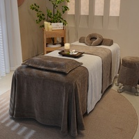 Parure de lit de beauté en velours épais blanc et vert, ensemble simple pour lit de physiothérapie, 4 pièces