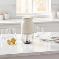 Robot culinaire électrique multifonctionnel en verre pour usage domestique, capacité 0,3 L, 4 lames, hachoir et moulin à viande