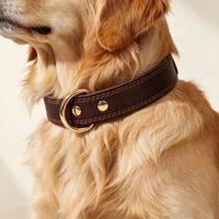 Kalung Anjing Kulit Sapi Premium Full Grain Buatan Tangan dengan Jahitan Ganda, Tali Leher Kulit Sapi Lembut untuk Golden Retriever German Shepherd