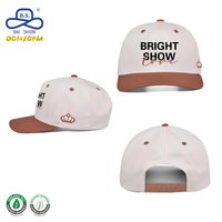 Casquette de baseball en coton structuré de qualité supérieure, fabriquée par une usine certifiée Sedex, avec logo brodé personnalisé pour un usage quotidien en extérieur et décontracté