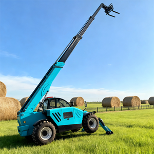 รถยก4WD เล็ก1.5ตันถึง2.8ตันรถตักล้อหน้ามีเครื่องยนต์สันดาปภายใน - Product Image 2