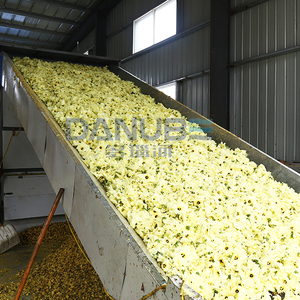 Séchoir à granulés de biomasse à bande transporteuse certifié qualité pour Sunset Muskmallow, machine de séchage de Sunset Muskmallow - Product Image 6