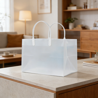 Sac fourre-tout en plastique transparent PP pour emballage cadeau, sac publicitaire promotionnel pour boutiques, vente en gros