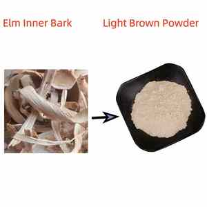 Poudre d'écorce d'orme à marque privée OEM 10:1, Poudre d'écorce d'orme rouge naturelle pour la santé digestive, Poudre d'écorce intérieure d'orme rouge - Product Image 1