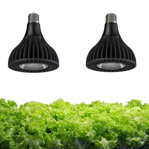 Лампочка для выращивания овощей с полным спектром квантового солнечного света, светодиодный Гриб, 30 Вт, 36 Вт, алюминий, 80, Е27, 3 года, светодиод, 780 Вт, CE Rohs 1,2