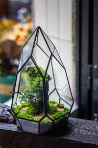 Không thường xuyên gần hình học thủy tinh bán buôn Acrylic <span class=keywords><strong>Terrarium</strong></span> bò sát PVC Acrylic Pet lồng DIY trang trí nội thất tường nghệ thuật để nhà máy Terra - Product Image 5