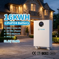 Baterai LiFePO4 Kapasitas Tinggi 15KW 16KWh Tipe Split 48/51.2V 300Ah 314Ah IP65 CAN Smart BMS untuk 8000+ Siklus untuk Rumah Hybrid