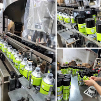 Peinture en aérosol craquelée couleur graffiti de voiture OEM en gros