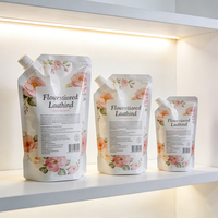 Emballage de détergent liquide multifonctionnel avec buse, étanche, résistant à l'écrasement, sac en plastique laminé, distributeur portable