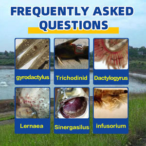 Visvoeradditieven Aquatische Parasieten Verwijderaar Voederkwaliteit Aminozuren Plant-gebaseerd voor Interne & Externe Ontworming - Product Image 3