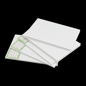 Lámina de Plástico Corrugado de Polipropileno (PP) <span class=keywords><strong>Coroplast</strong></span>, Tratada con Corona, de 1220x2440 mm, para Señalización de Jardín y Césped - Product Image 4