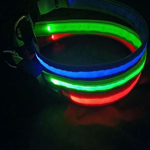 电子 LED 狗项圈，带尼龙织带，可调节，USB 充电，反光夜光，防走失，适用于狗狗 - Product Image 1