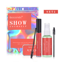 1 Bộ 3D Lông Mày Thiết Lập Gel Xà Phòng Không Thấm Nước Brow Makeup Kit Kéo Dài Lông Mày Gel Phụ Nữ Lông Mày Tint Bom Mát Mỹ Phẩm