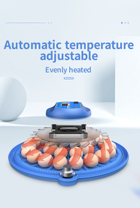 Incubateur de <span class=keywords><strong>80</strong></span> Œufs Entièrement Automatique à Prix de Gros pour l'Éclosion - Product Image 3