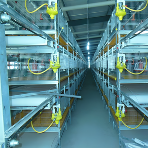 Chuồng gà kiểu nhà nông hiện đại với kết cấu khung thép, giá cả cạnh tranh cho chăn nuôi gà thịt - Product Image 3