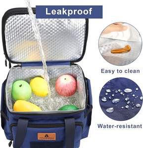 Muestra gratuita: Bolsa térmica impermeable de Tyvek para proteger alimentos y bebidas, lonchera térmica aislada con cremallera - Product Image 4