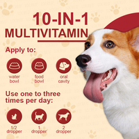 OEM Vente à Chaud Gouttes Liquide pour Animaux de Compagnie Vitamines Multi Vitamines 10-en-1 Mélange de Multivitamines Naturelles pour Chiens de Compagnie