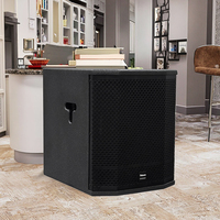 Caisson de basses passif Thinuna T-12B professionnel 400W RMS 12 pouces 132dB SPL de crête pour systèmes audio professionnels