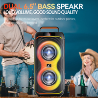 Système de sonorisation PA Sing-e CQS-S5510 avec double subwoofer de 6,5 pouces, LED RGB, pour karaoké, utilisation en extérieur/pour fêtes, avec 1 micro filaire