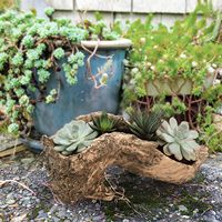 Patung Resin Pot bunga sukulen, Pot kaktus Bonsai kreatif dengan lubang drainase untuk taman tanaman kayu apung buatan
