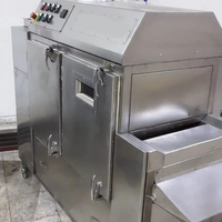 Industriële oven van roestvrij staal voor het roosteren van noten, 18-20 kg/uur, geschikt voor de verwerking van andere noten